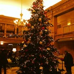 Infobox_sea_lovelylanvin_georgian_tree