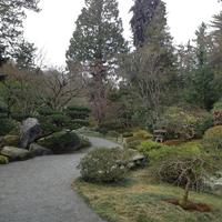 Full_pdx_ryanjreichert_seattlejapanesegarden
