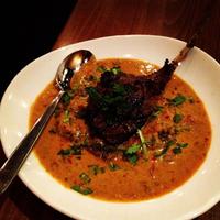 Full_vbc_vanfoodster_shanik_lamb