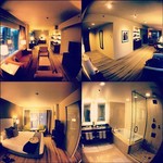 Infobox_sfo_doted_olive8_hyatt