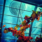 Infobox_pdx_schnik_chihuly_spaceneedle