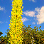 Infobox_pdx_schnik_chihuly_yellow_plant