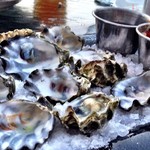 Infobox_pdx_katmaund_chandlers_oysters