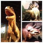 Infobox_vbc_jminter_pacsci_dinosaurs